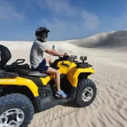 Quad Bikes